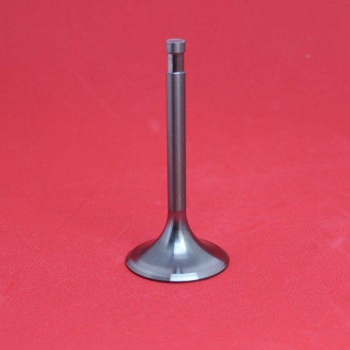 Inlet Valves